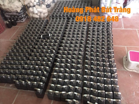 44536674 10213993951906290 5262052527850913792 n 1