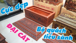 bo tieu sanh dai cat 2022 small