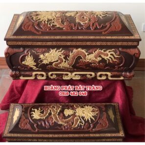 quach tieu sanh long phung phoi mau cao cap 1