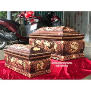 quach tieu sanh rong ba mau co dai bt