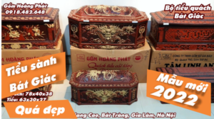 tieu sanh bat giac mau moi 2022 small 1