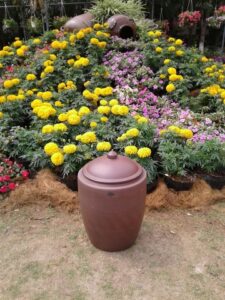 16939521 392836544416528 8794445752755883513 n