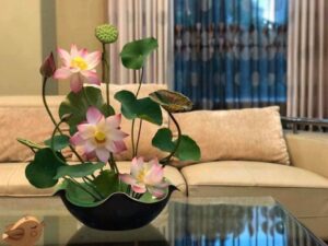 35301237 1768969969838410 1080708187939667968 n