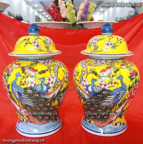 binh hut loc phong thuy 8511