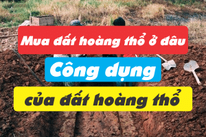 Mua đất hoàng thổ ở đâu, công dụng của đất hoàng thổ