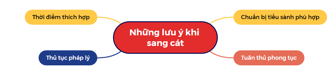 Những lưu ý khi sang cát, bốc mộ