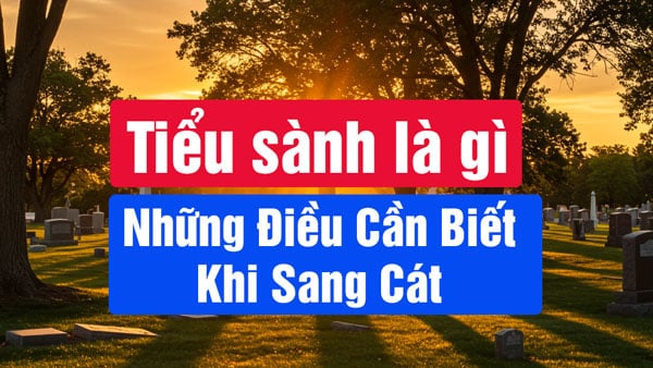 Tiểu Sành và Những Điều Cần Biết Khi Sang Cát