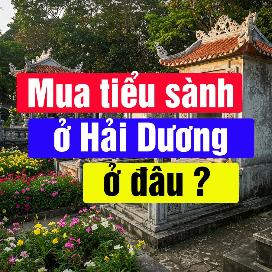 Mua Tiểu Sành Tại Hải Dương