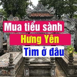 Mua Tiểu Sành ở Hưng Yên Thì Mua ở đâu