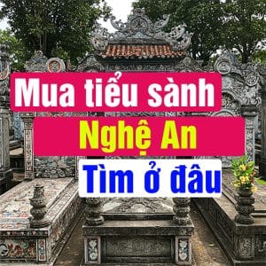 Mua tiểu sành ở nghệ an