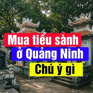 Mua tiểu sành ở Quảng Ninh