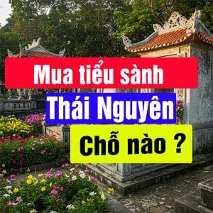 Mua Tiểu Sành Ở Thái Nguyên