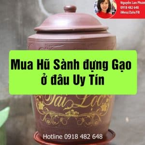 hũ sành đựng gạo uy tín tại TP.HCM