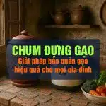 Chum đựng gạo, hũ đựng gạo và hũ gạo tài lộc. Giải pháp bảo quản gạo hiệu quả, hợp phong thủy cho mọi gia đình