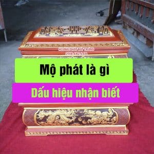 Mộ phát là gì? Mộ kết phát là gì
