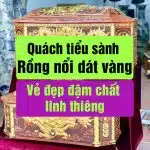 Tiểu sành Rồng nổi dát vàng – Vẻ đẹp đậm chất linh thiêng