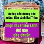 Hướng dẫn đường đến xưởng tiểu sành Bát Tràng, chọn mua tiểu sành thế nào cho chuẩn
