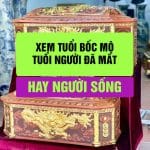 Xem Tuổi Bốc Mộ - Giải Mã Các Điều Kiêng Kỵ, Tuổi Phạm và Cách Hóa Giải Hiệu Quả