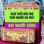 Xem Tuổi Bốc Mộ - Giải Mã Các Điều Kiêng Kỵ, Tuổi Phạm và Cách Hóa Giải Hiệu Quả