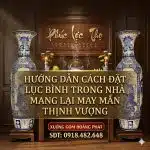 Hướng Dẫn Cách Đặt Lục Bình Trong Nhà Mang Lại May Mắn Thịnh Vượng